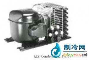 法國(guó)泰康風(fēng)冷式冷凝機(jī)組