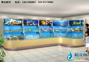 海鮮池魚(yú)缸ldzl64