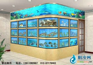 海鮮池魚(yú)缸ldzl69