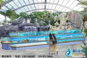 海鮮池魚(yú)缸ldzl70
