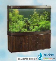 家用觀賞缸-可麗愛(ài)水族箱 BSACH780-1800