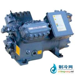 德國谷輪蝶閥式壓縮機(jī)新