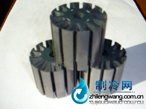 電機(jī)轉(zhuǎn)子