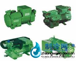 德國原裝進(jìn)口比澤爾壓機(jī)