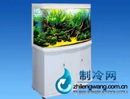 小型魚缸價格