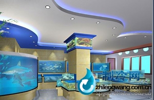大型魚缸制作