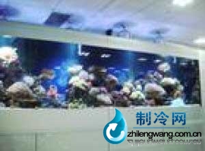 定做魚缸 北京制冷公司