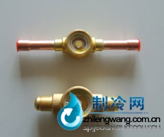 進(jìn)口丹佛斯視液鏡