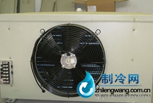 速凍冷庫吊頂冷風(fēng)機(jī)價(jià)格報(bào)價(jià)