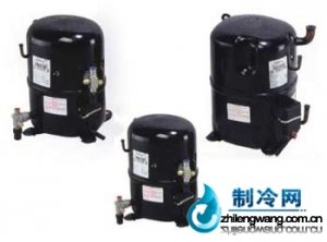 美國泰康壓縮機RGA5460E
