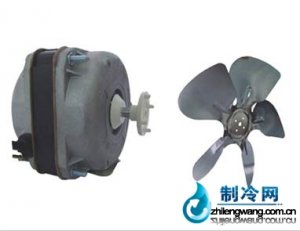 罩極電機(jī)YJ82