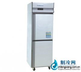 愛(ài)雪兩門(mén)單溫并冰箱