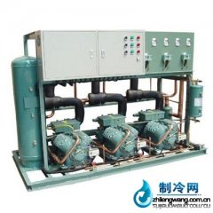 比澤爾螺桿機(jī)組并聯(lián)機(jī)組