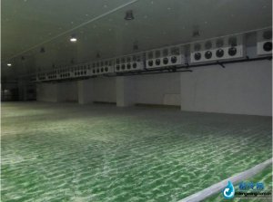大型物流冷庫(kù)