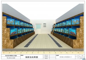 大型觀賞性魚(yú)缸