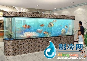 大型觀賞缸 gsg004